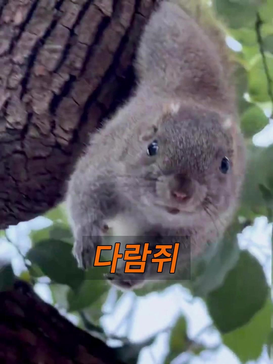 @삼촌Cut2025