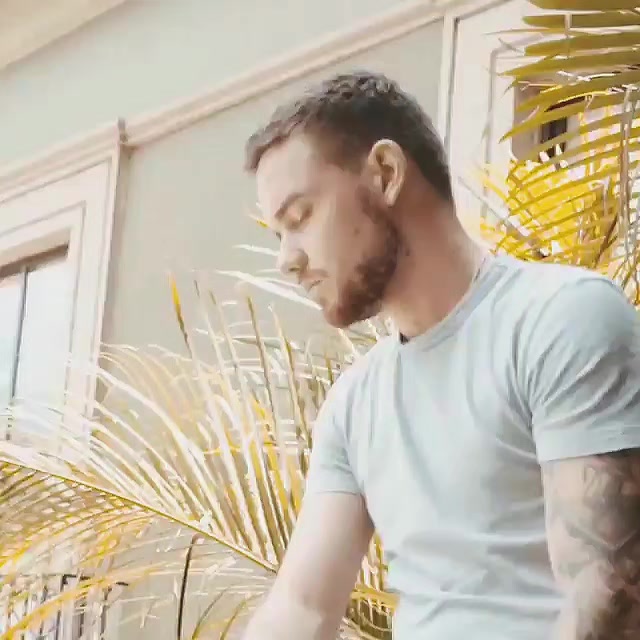 @paynefullove