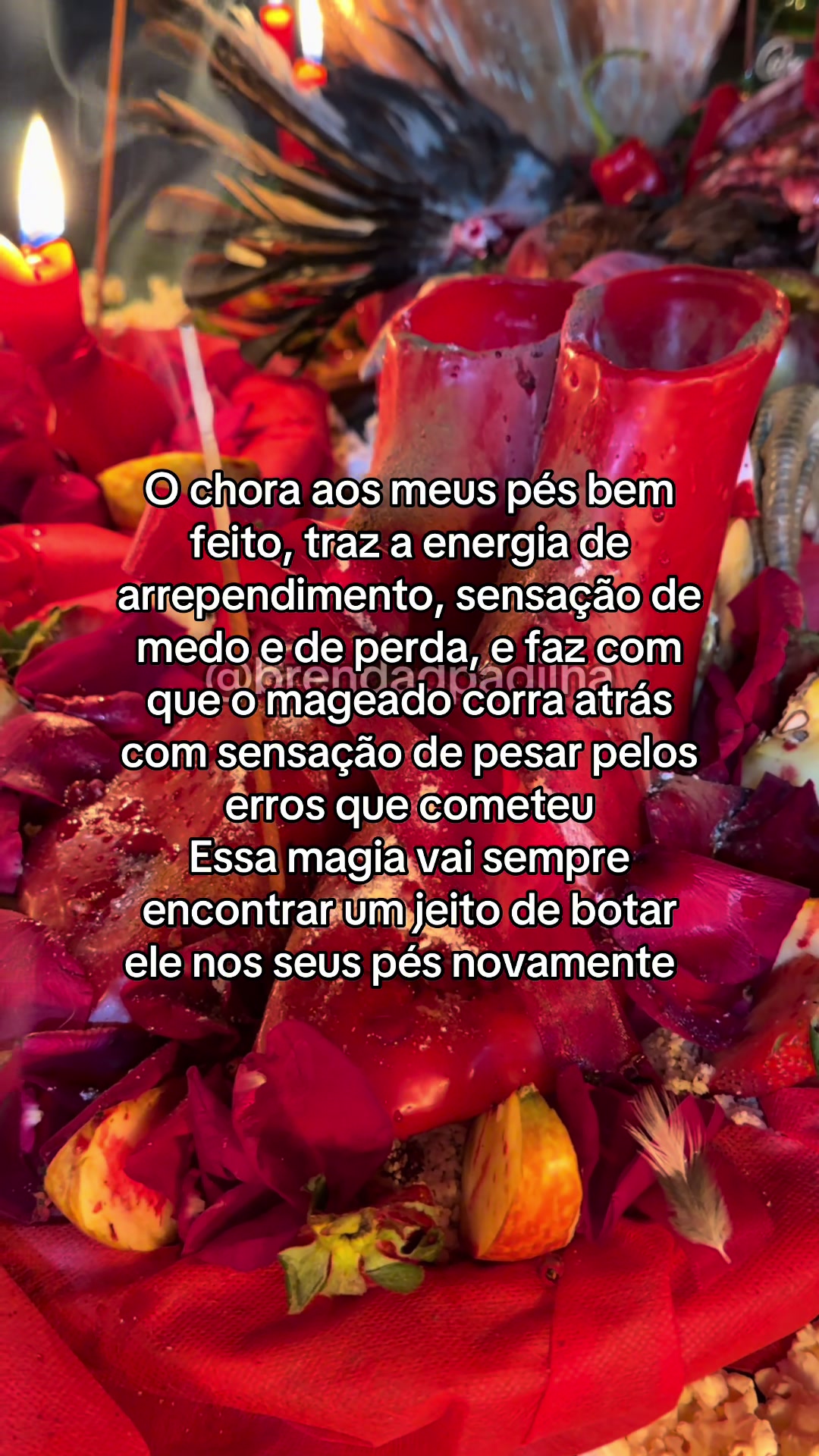 @Feiticeira da meia noite🌙 🔱