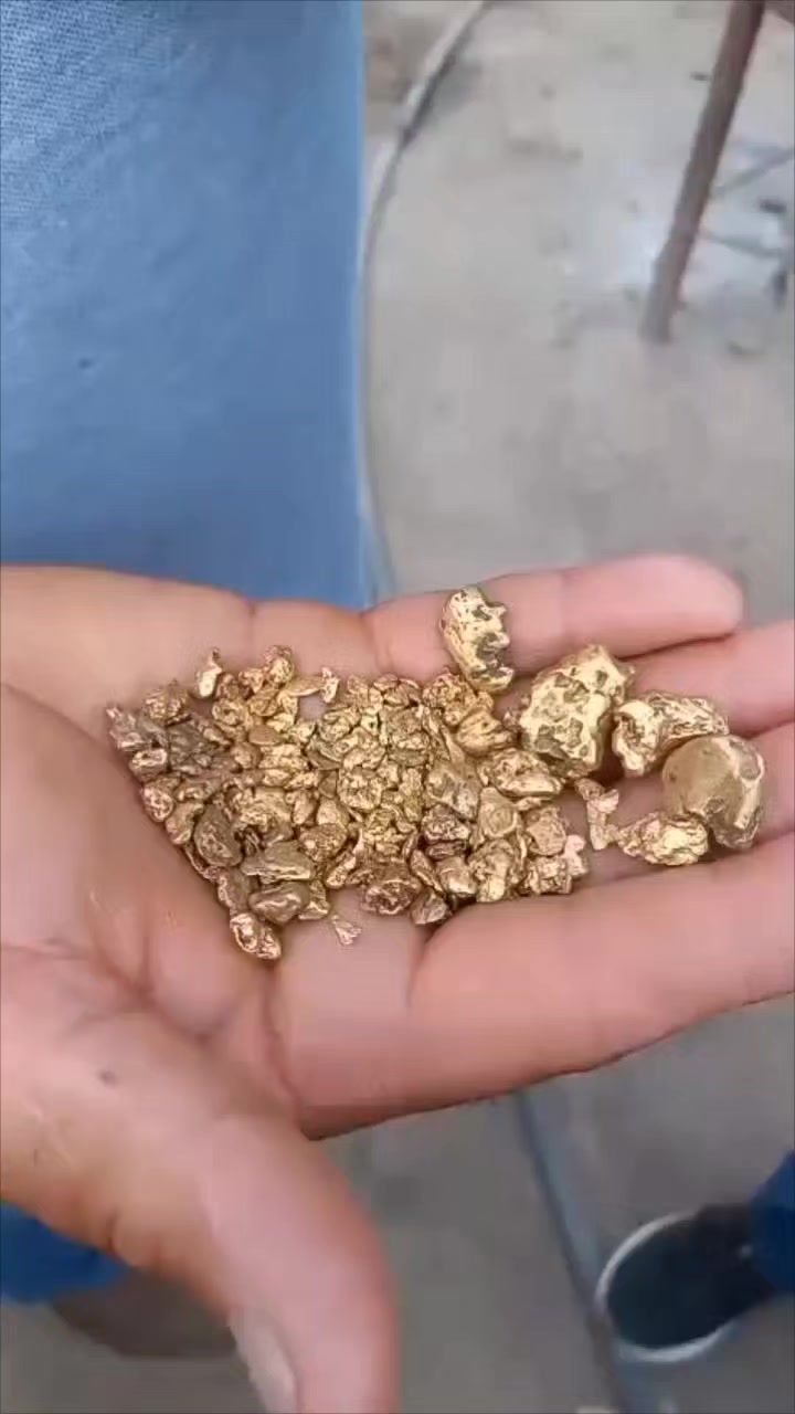 @Gold 22