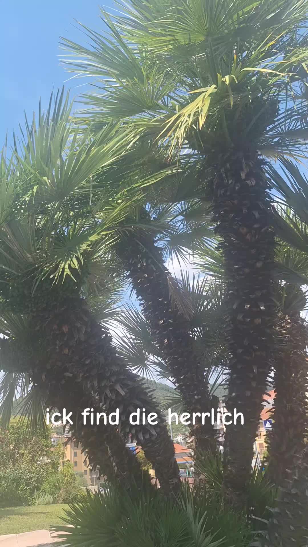 @Birgit Pradella