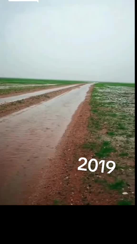 @ابو حامد