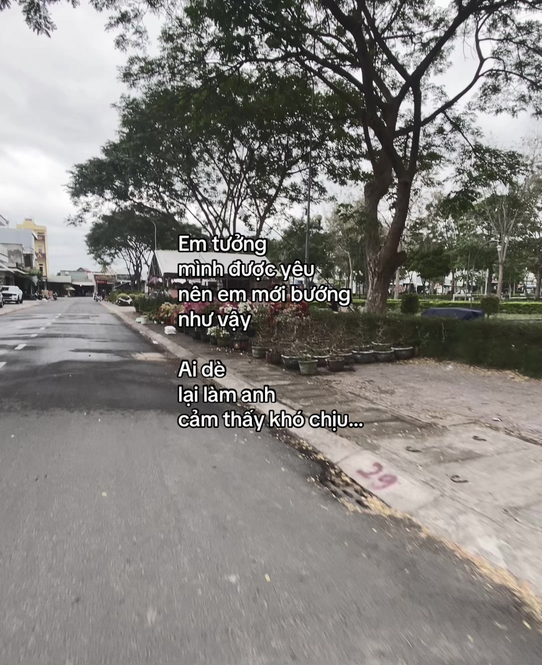 @౨ৎ˚⟡˖ ࣪NguyenThuyDuyen⋆𐙚₊˚⊹