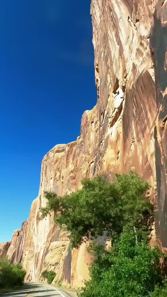 @ellenthejoy