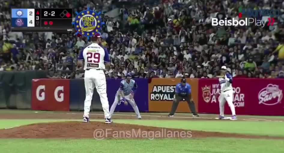 @Fans del Magallanes