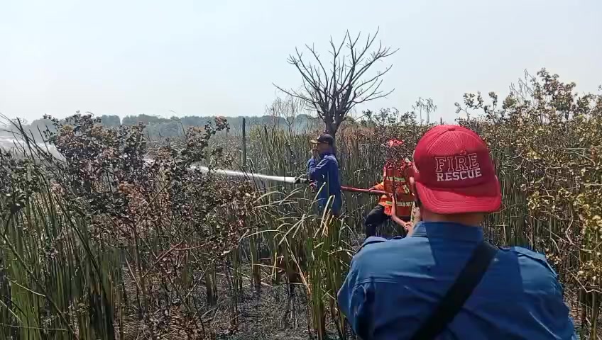 @KODIM 0712/TEGAL