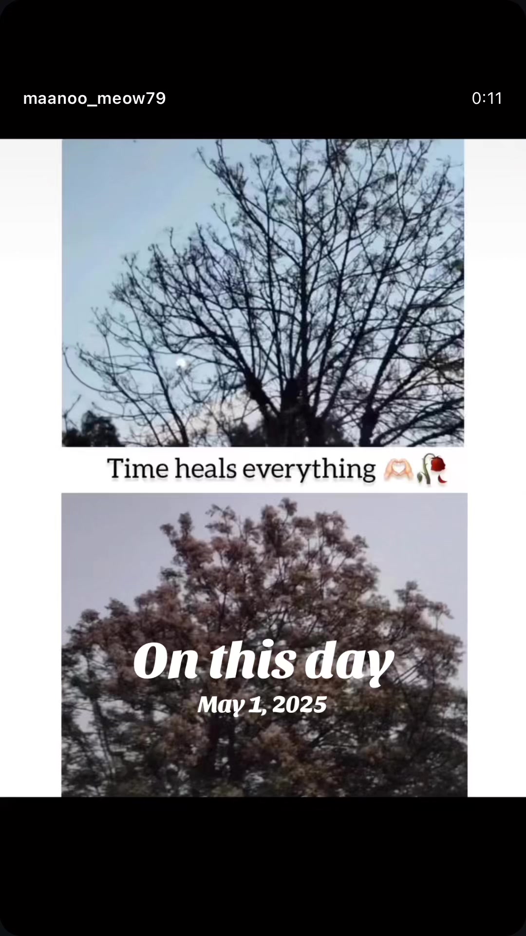 @Preet🥀