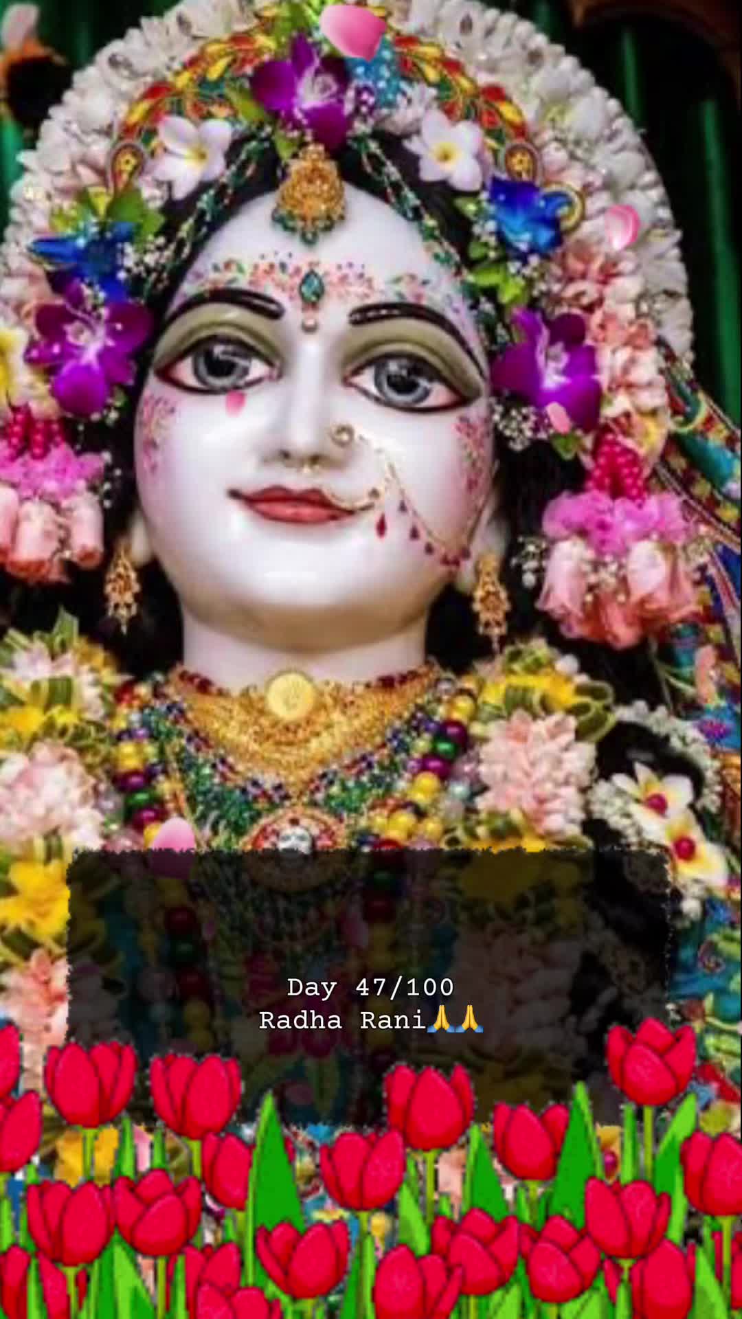 @RadheKrishna🦚🦚🙏🙏