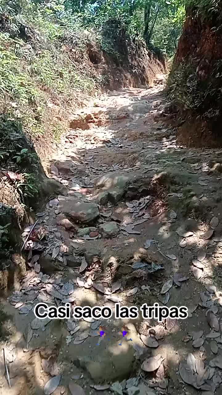 @angelicagarciacas74