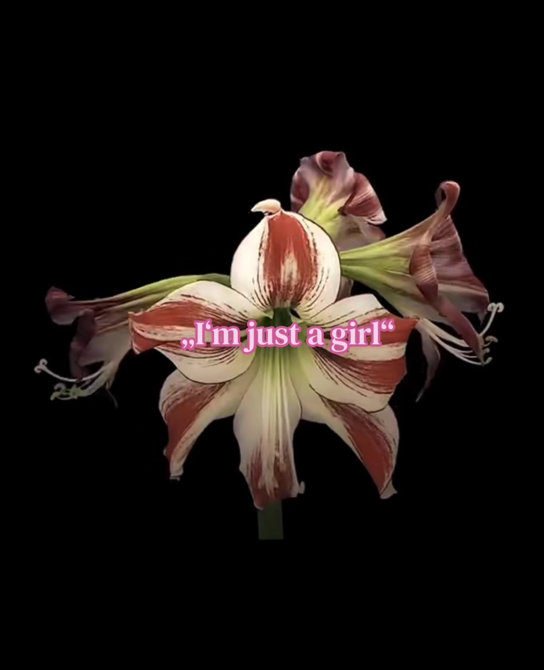 @₊˚⊹♡🧘🏼&zwj;♀️🌀🌞 ˚｡⋆౨ৎ