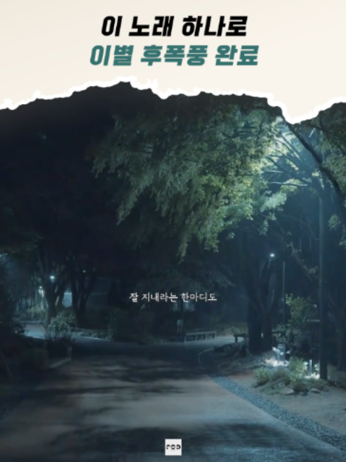 @일담플