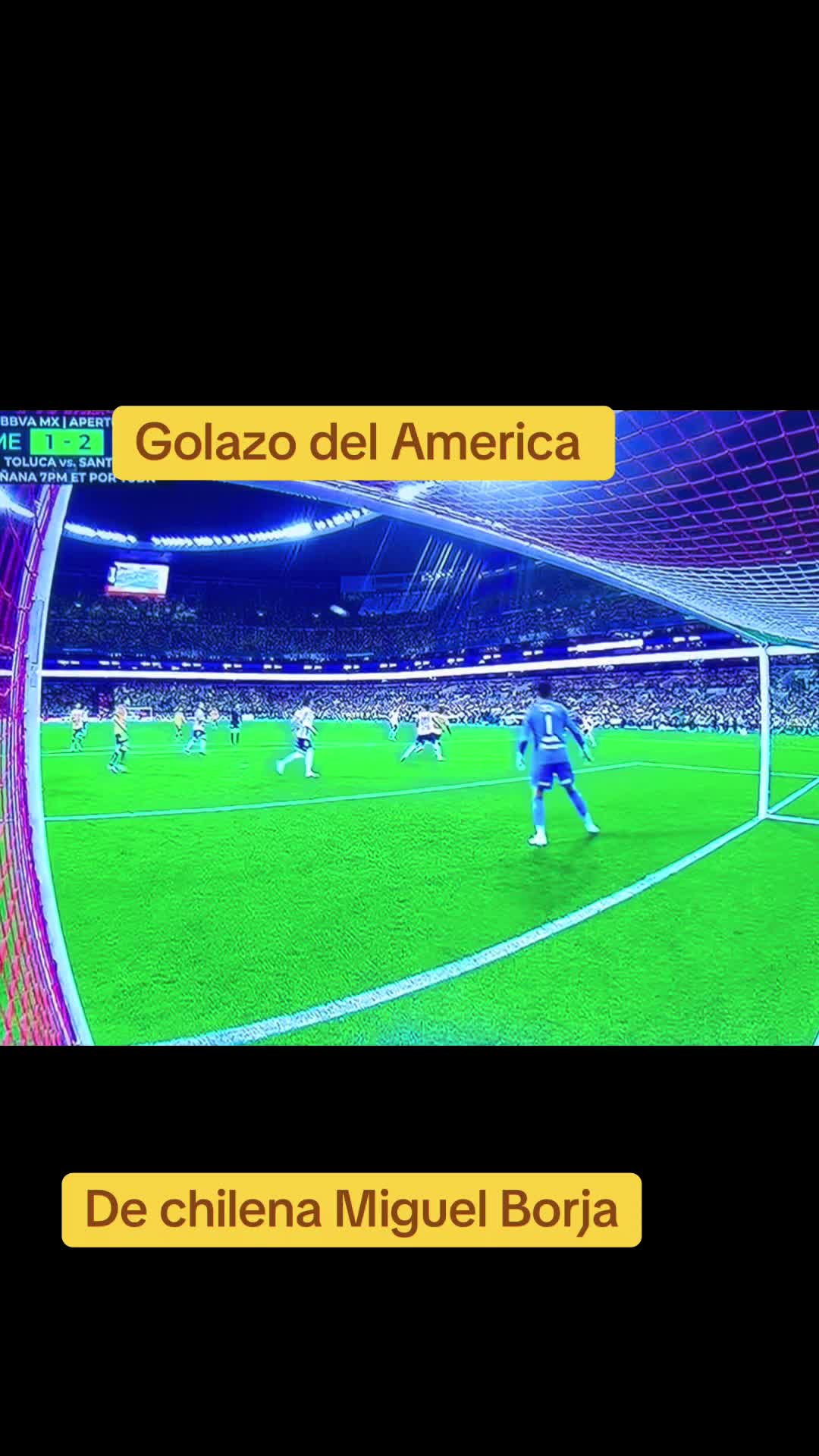 @Javier Salazar Rizo