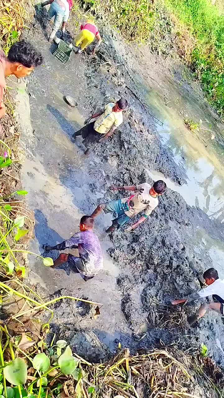 @RidoySardar12