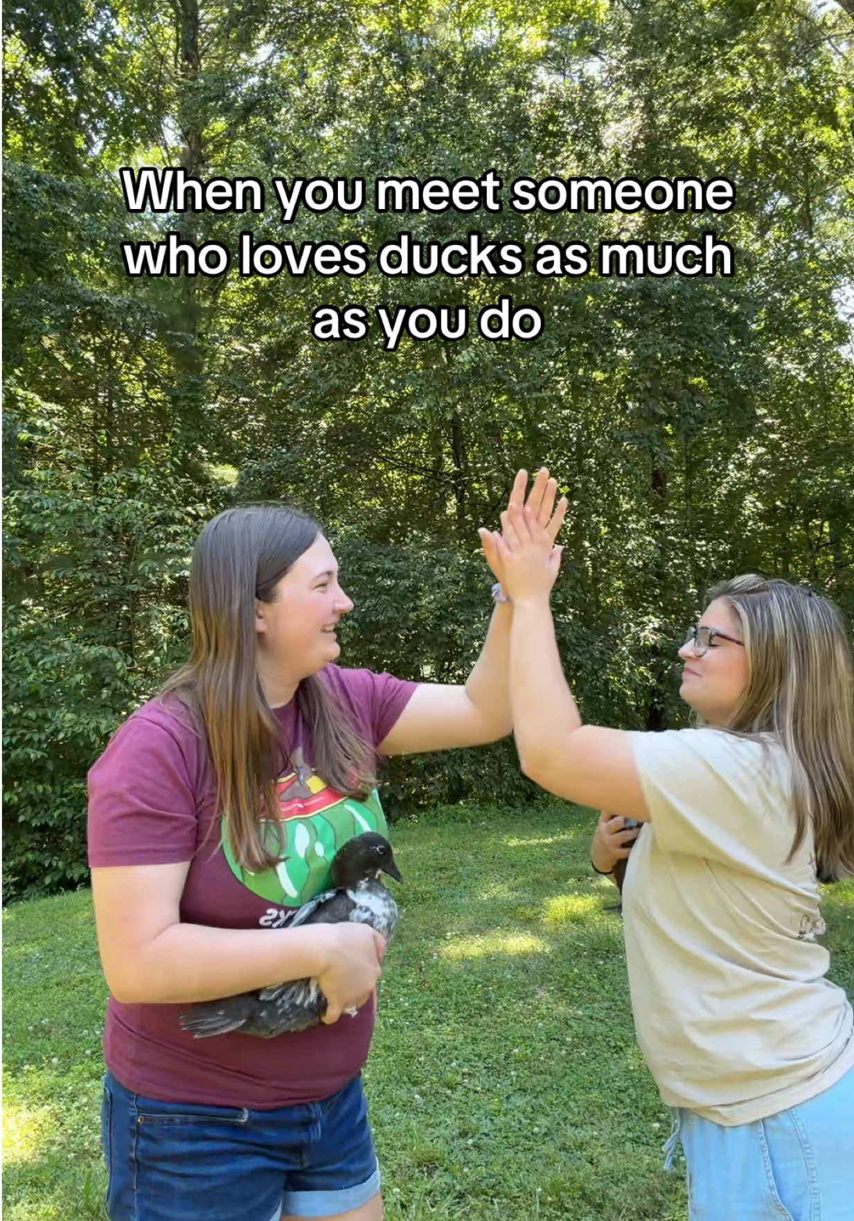 @The Quack House