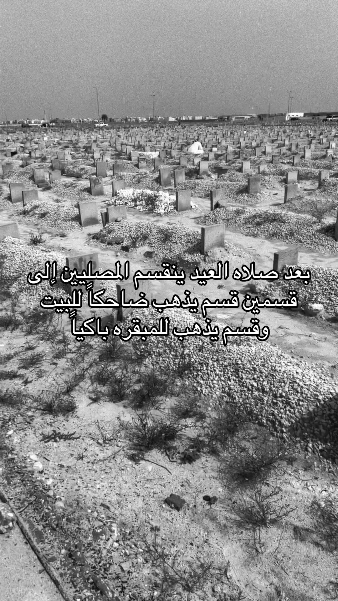 @سالم الغامدي