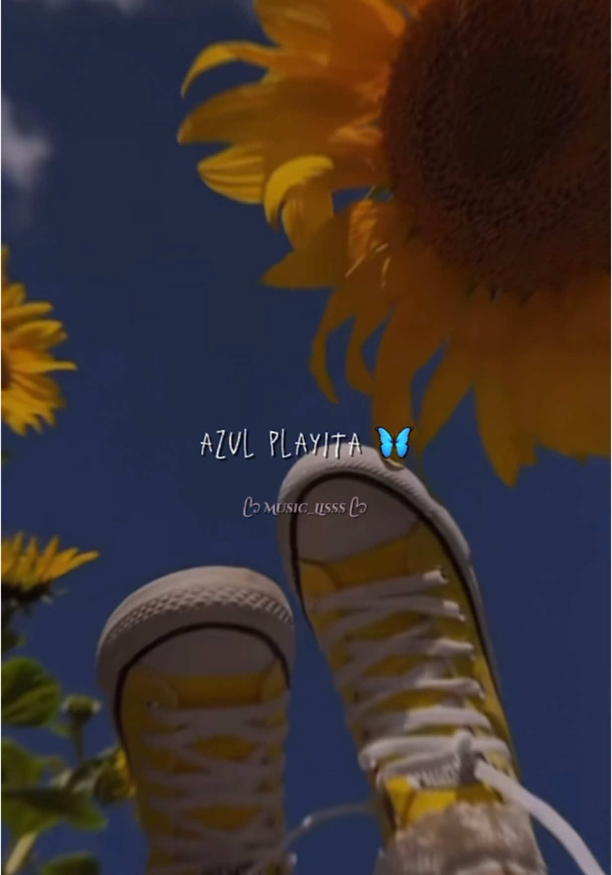 @&bull;𝑳𝑰𝑺𝑺𝑺 𝑴𝑼𝑺𝑰𝑪  🎀