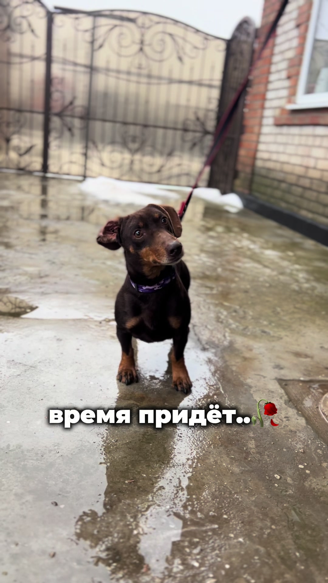 @𐔤ɯᥲᥴⲧыύ ⲙᥲρ᥈υ🥏
