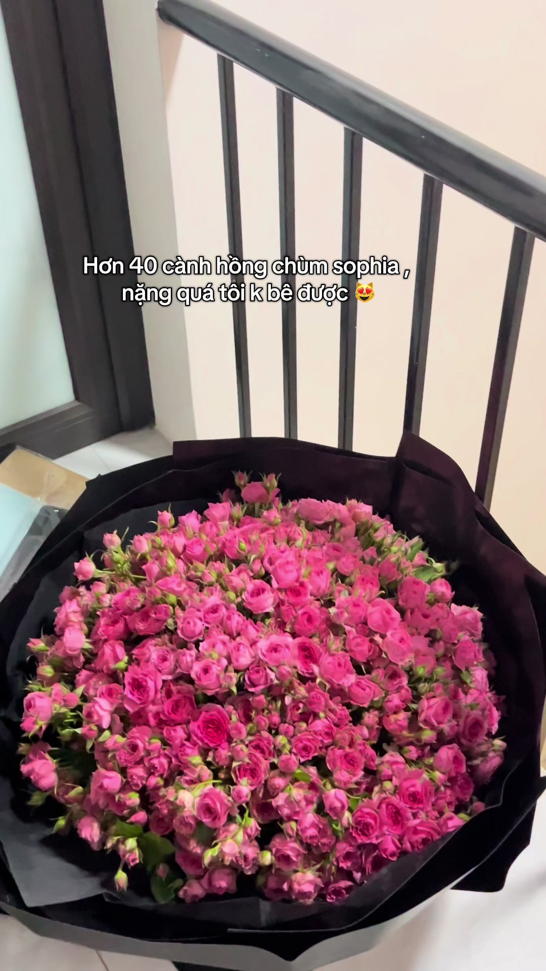 @Ỏn Ẻn