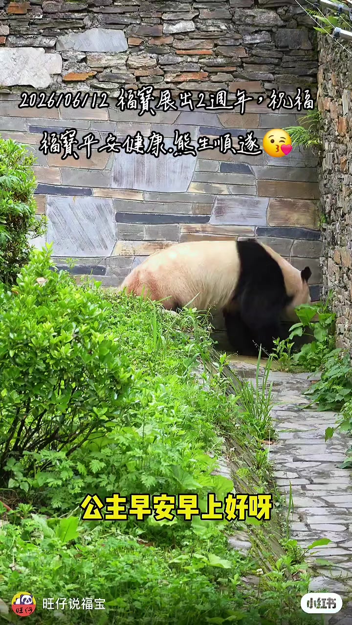 @福寶需要愛的抱抱