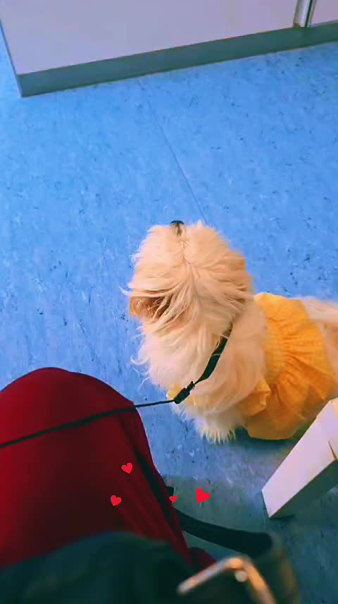 @ุฏุฎูู ๐ซกุงูุจุฑูุณูุณู๐ ุฃู
ููู ๐ต๐ธ