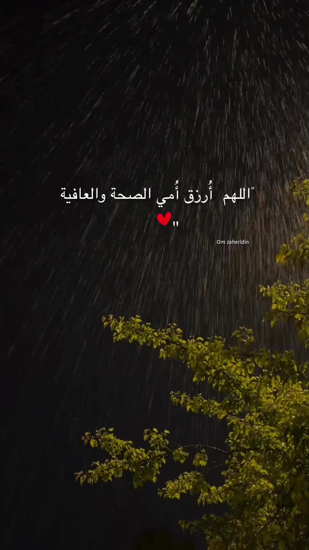 @OM Zahreldin