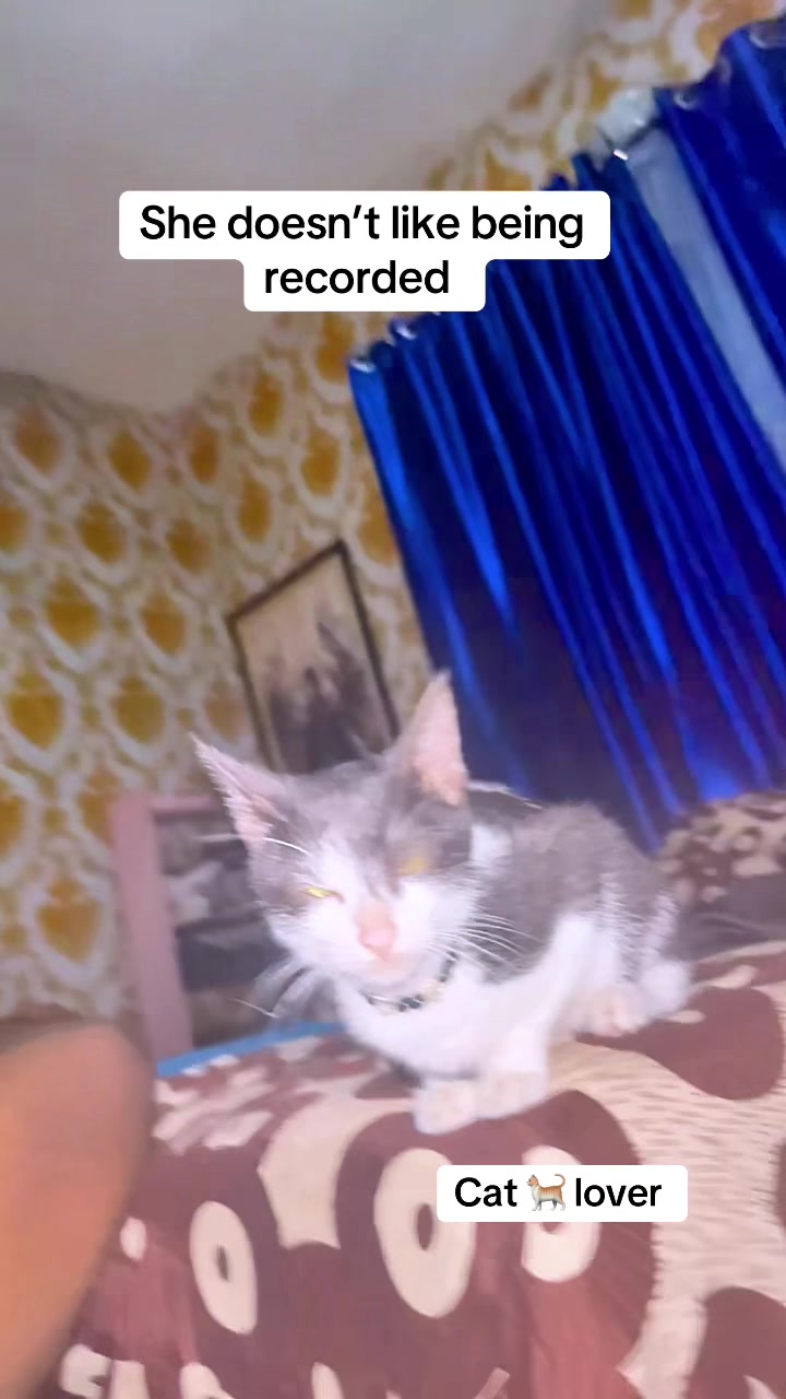 @Ambepaul