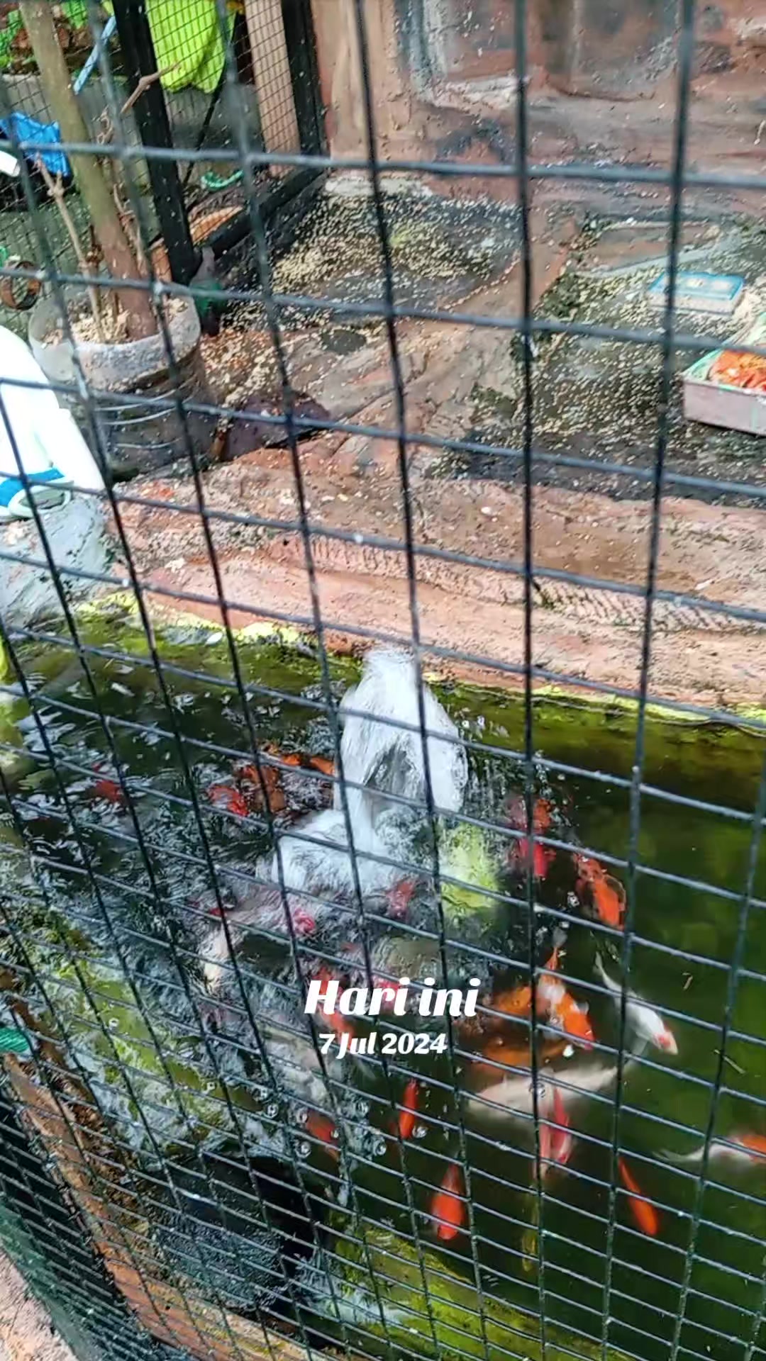 @"Ziasky1208🥰