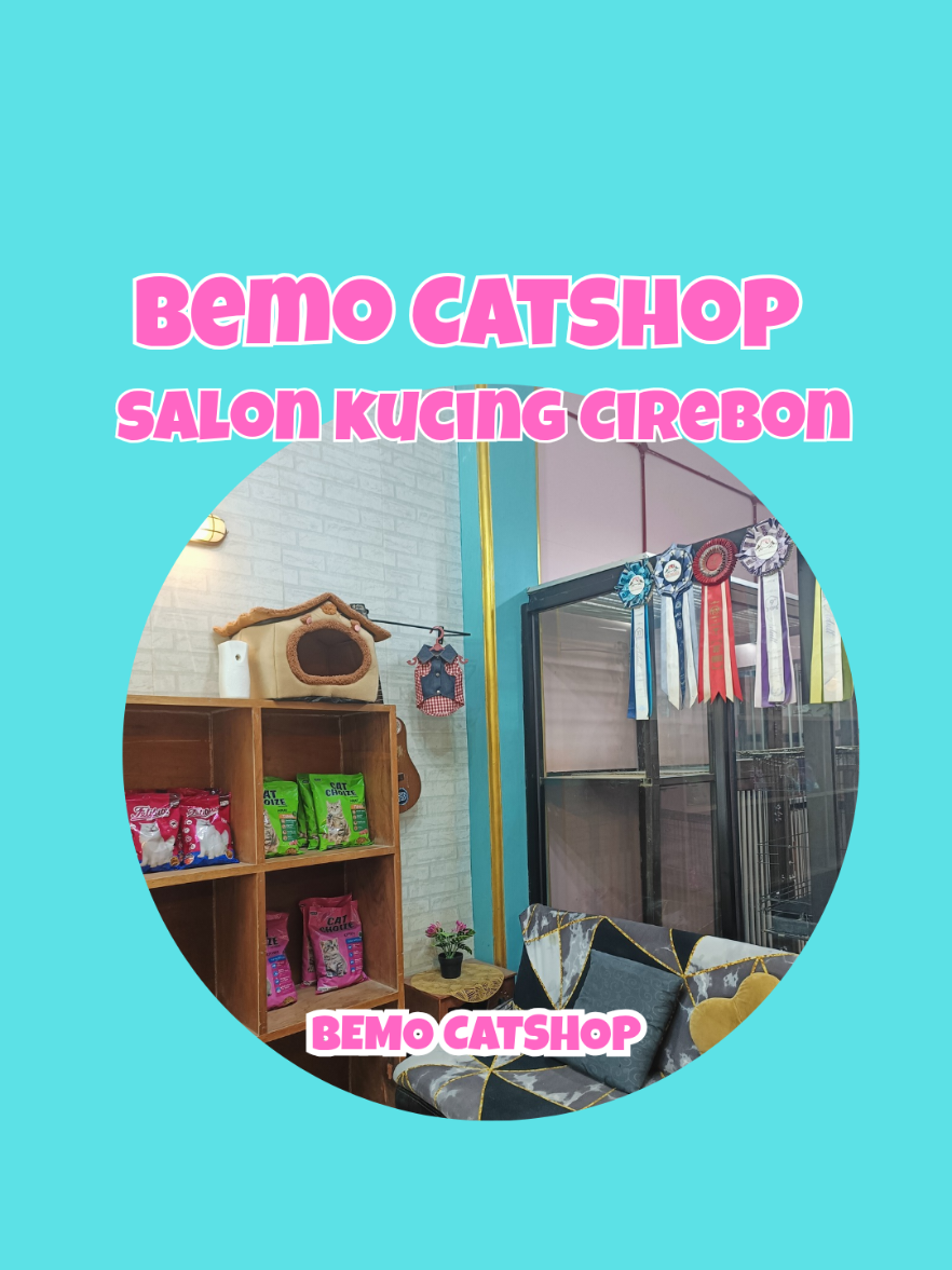 @Bemo Catshop