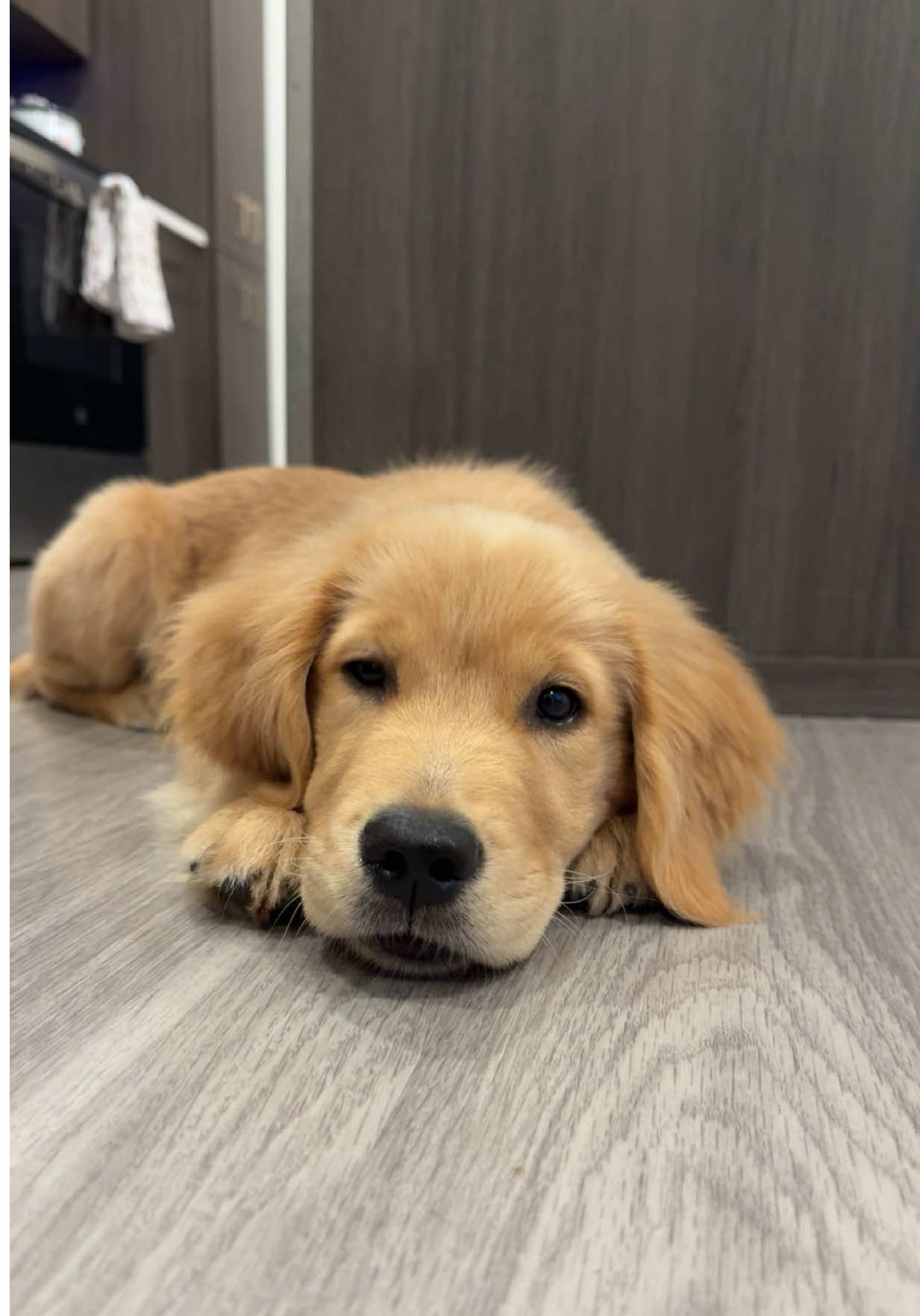 @Teddy🧸