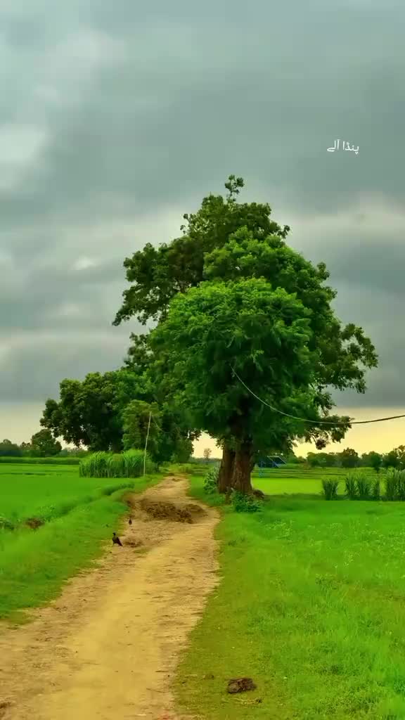 @Abdul Hafeez