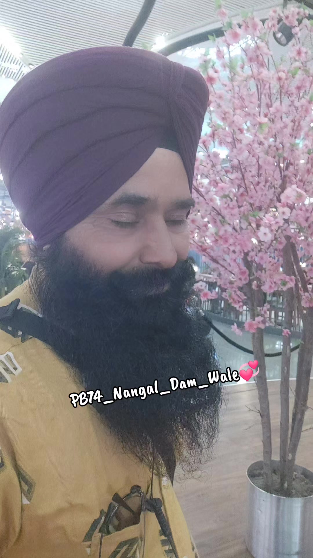 @Navjot Singh Bhardwaj