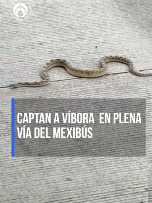 @Radio Fórmula