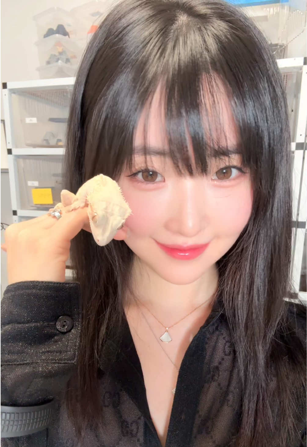 @Crenyang