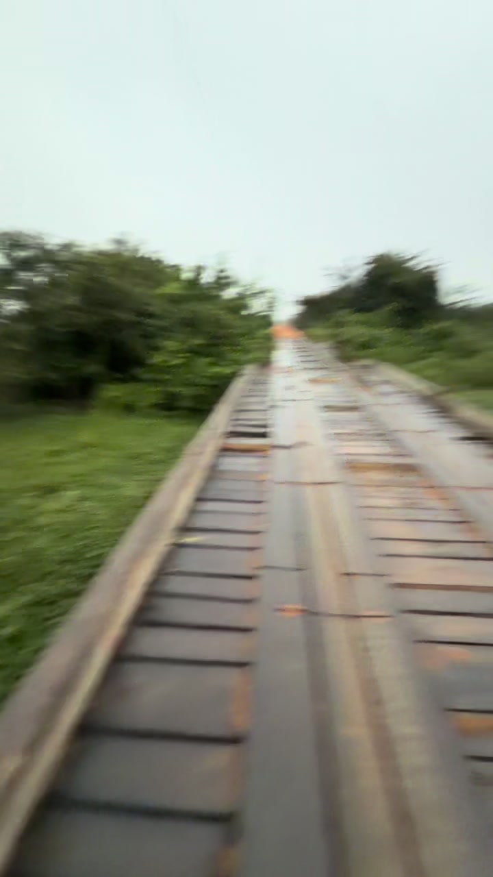 @Pantanal Brazil Safaris