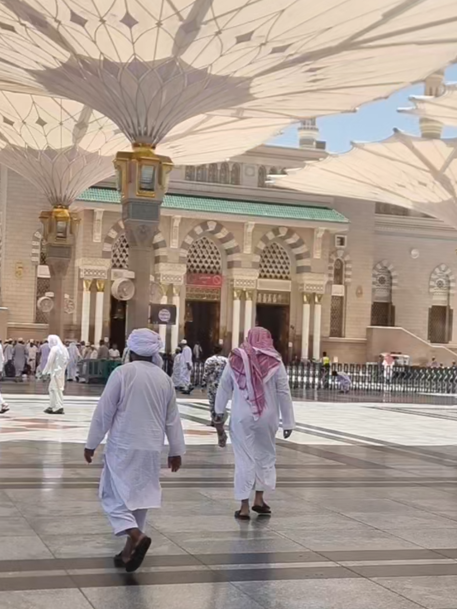 @سعود من المدينة المنورة 🛑