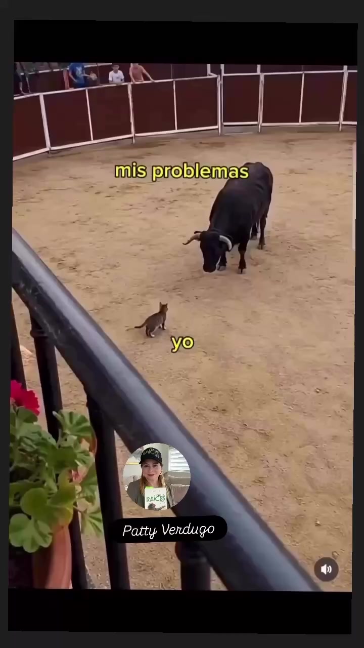 @pattyverdugomx