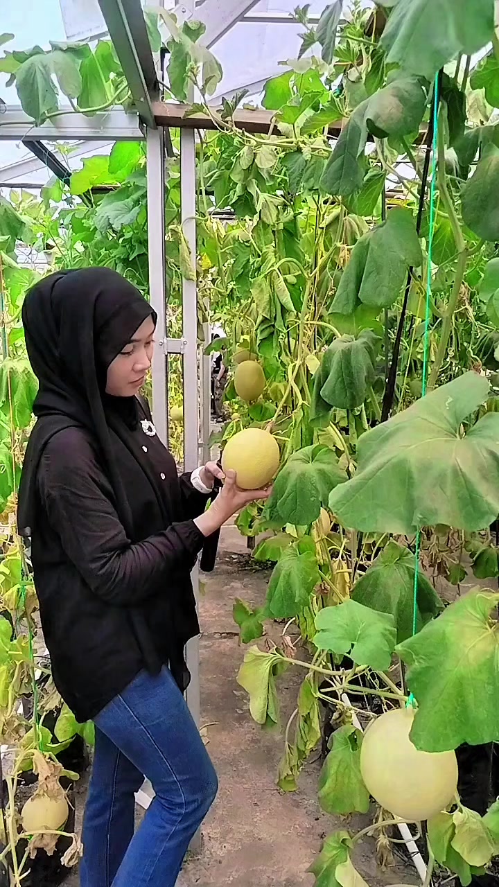 @Kia_15