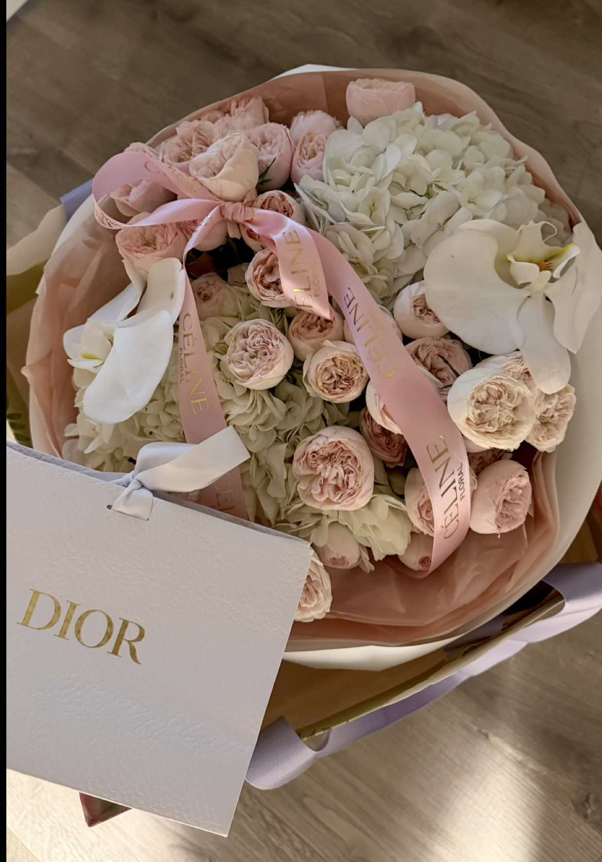 @dilya <𝟑