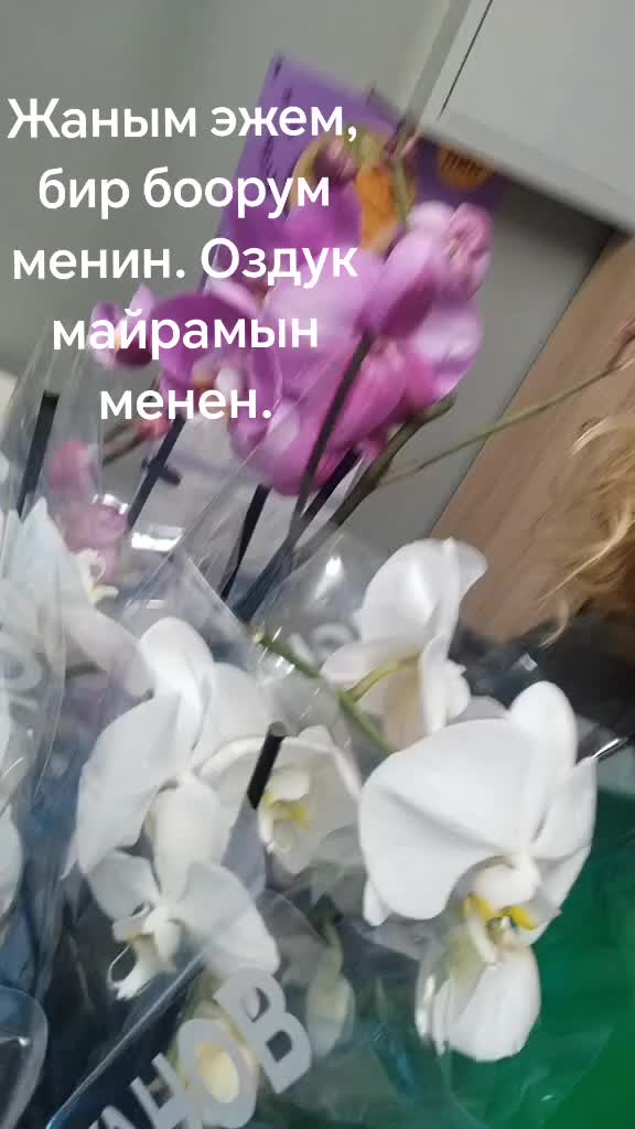 @Изольда@