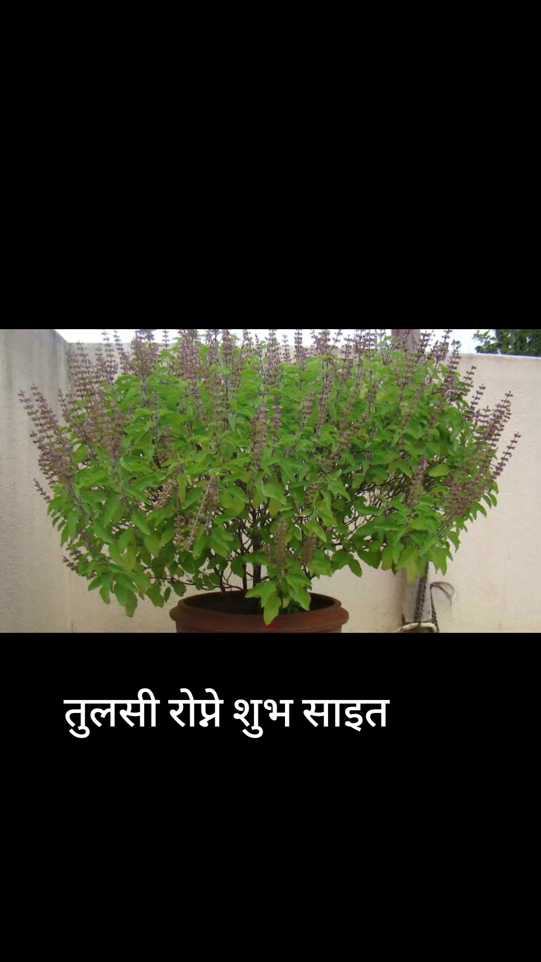 @तपो भुमी नेपाल