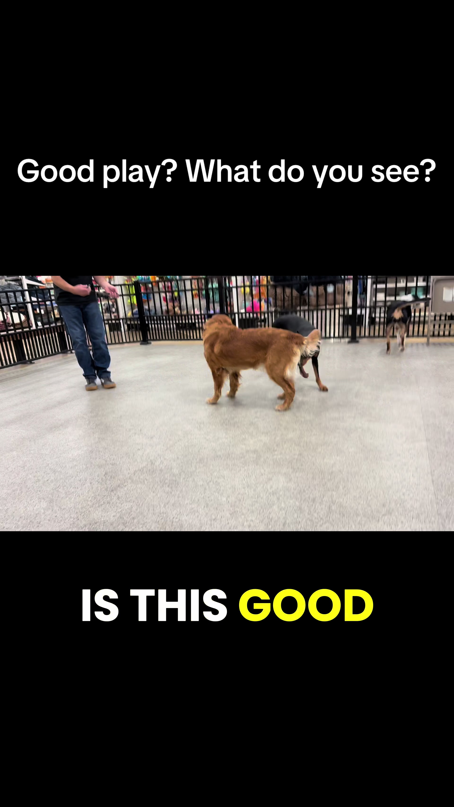 @FlexiblePetSolutions