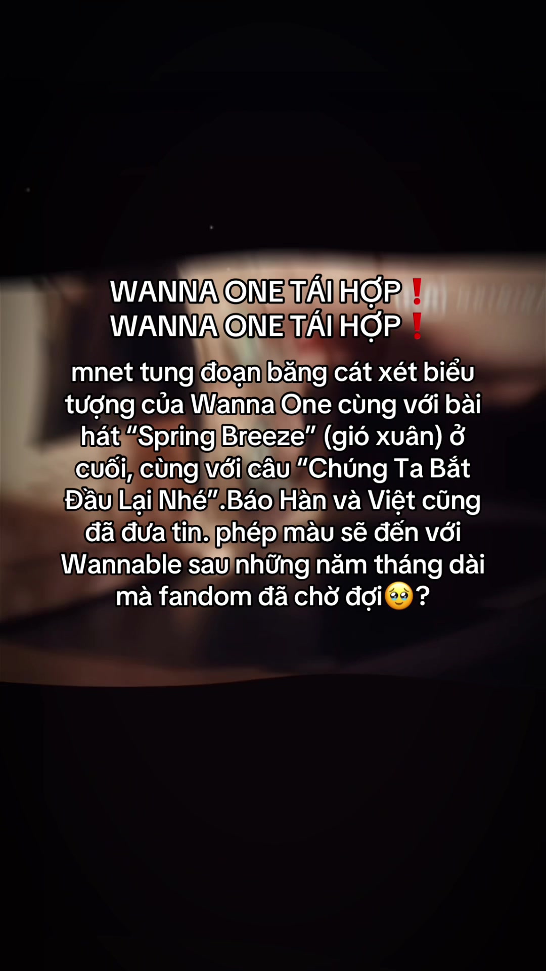@𝘳𝘪𝘬𝘢.