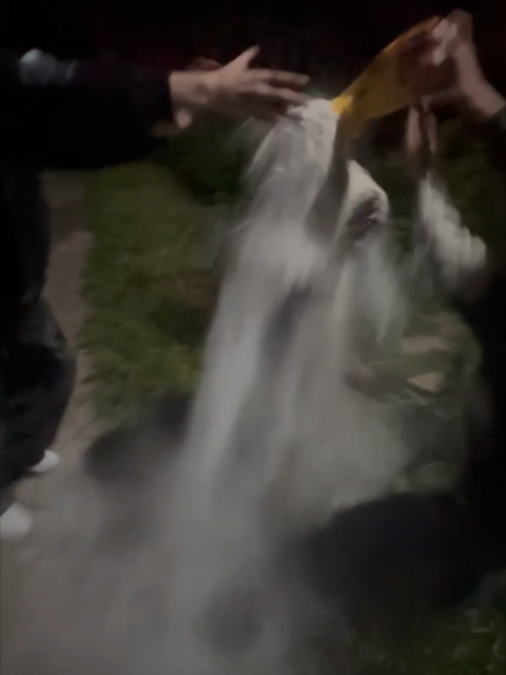 @хентай мастер
