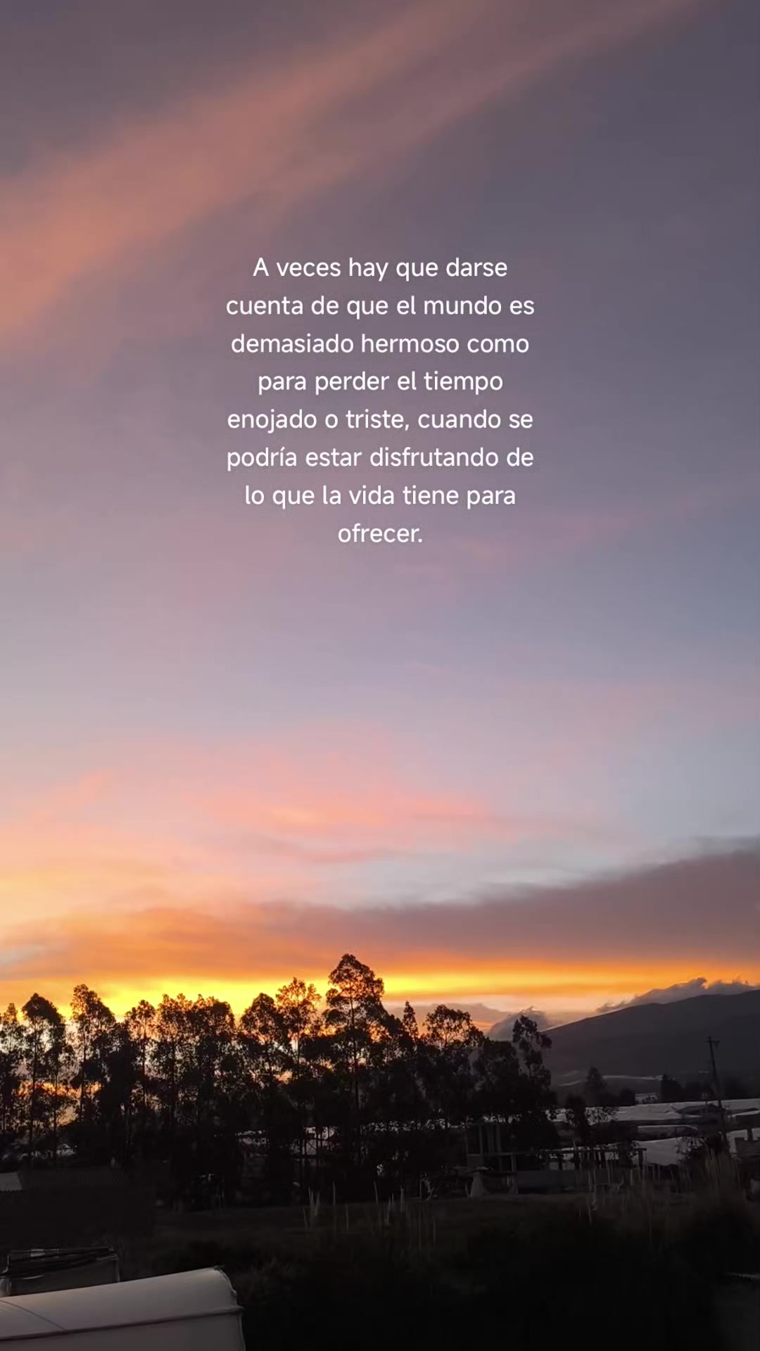 @Dulce Alexiita