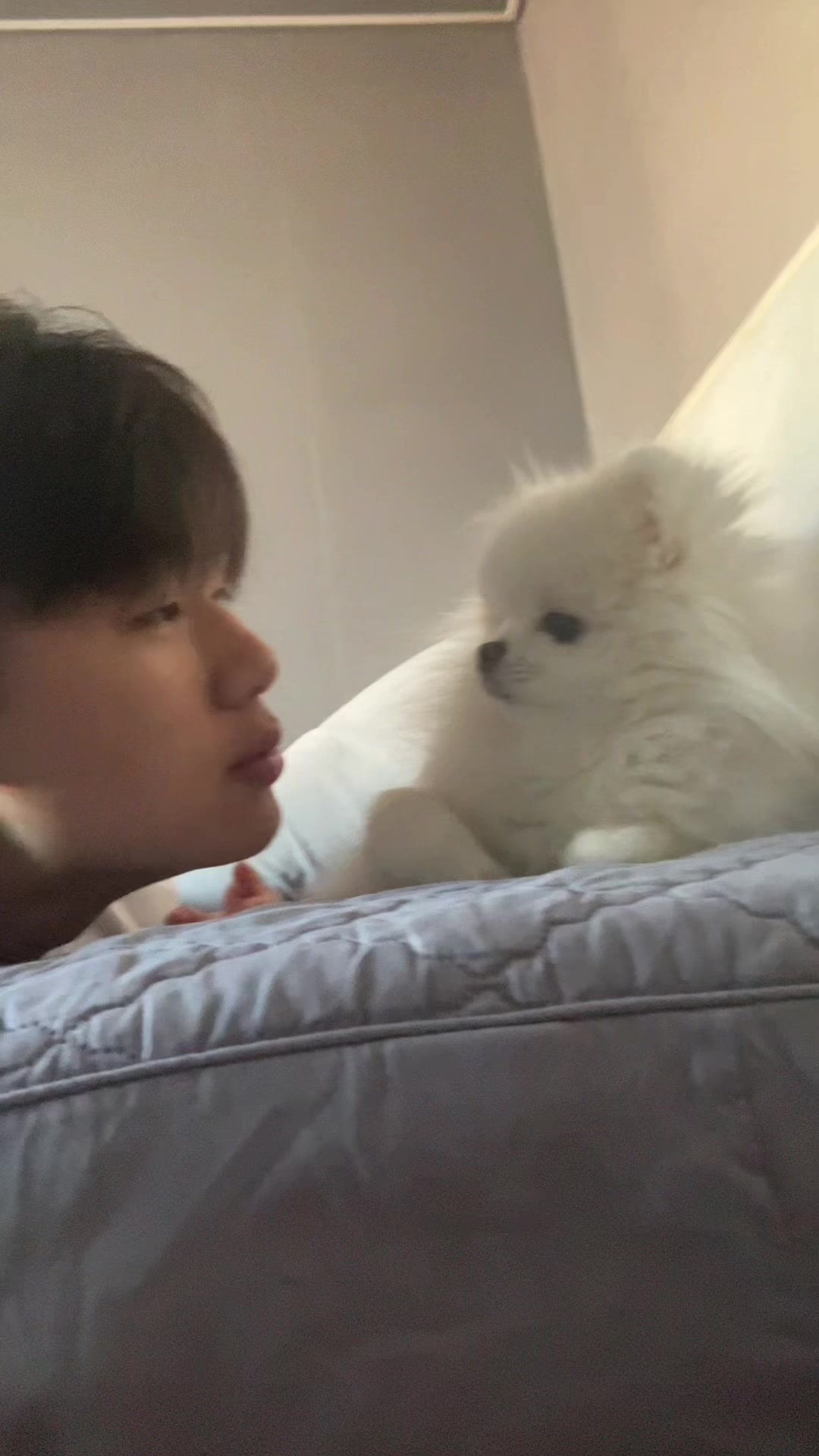 @ㅇㅅㅇ