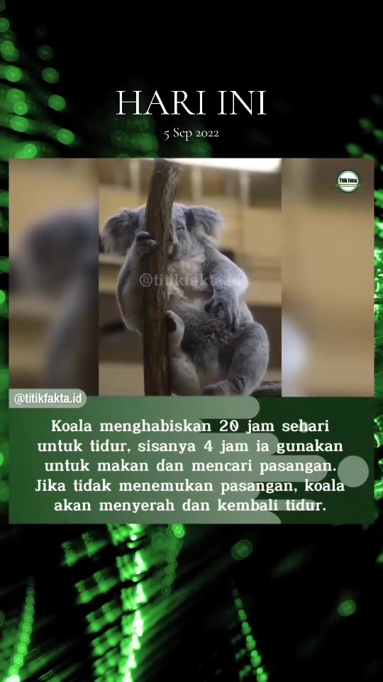 @Titik Facts