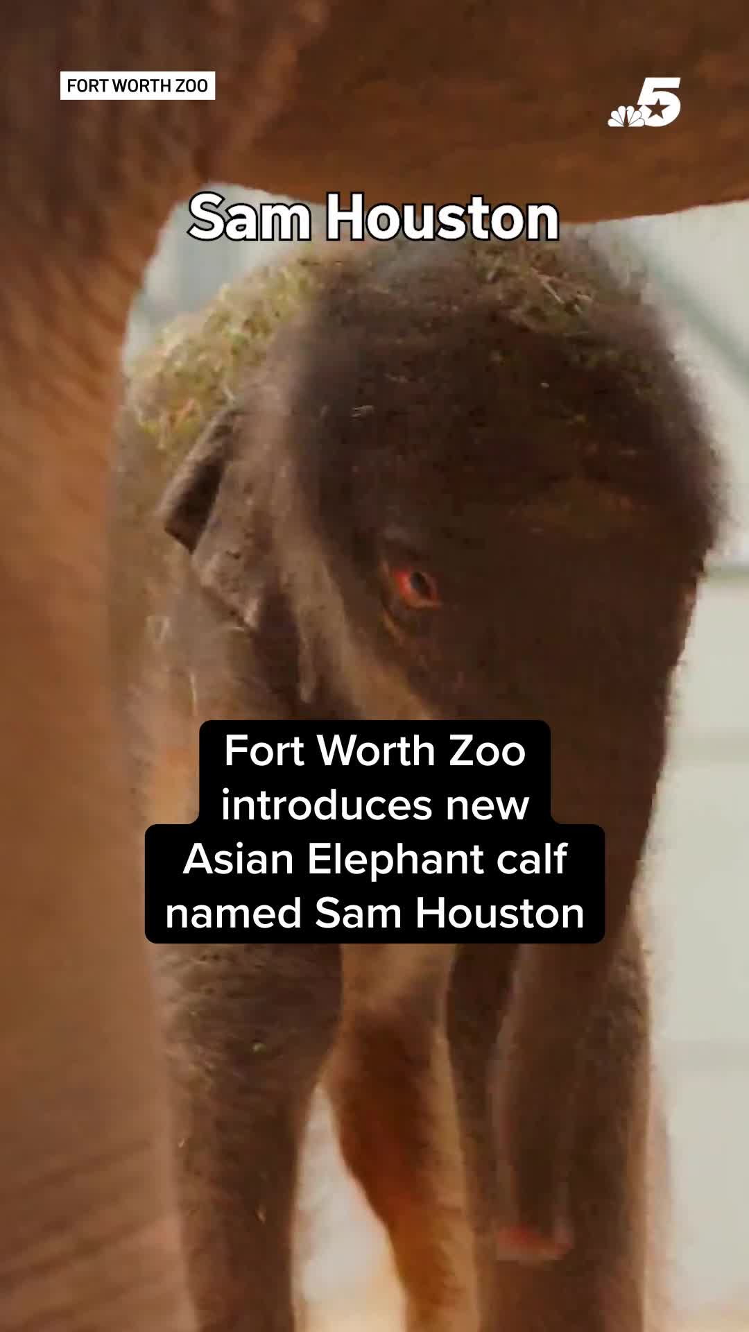 @NBCDFW