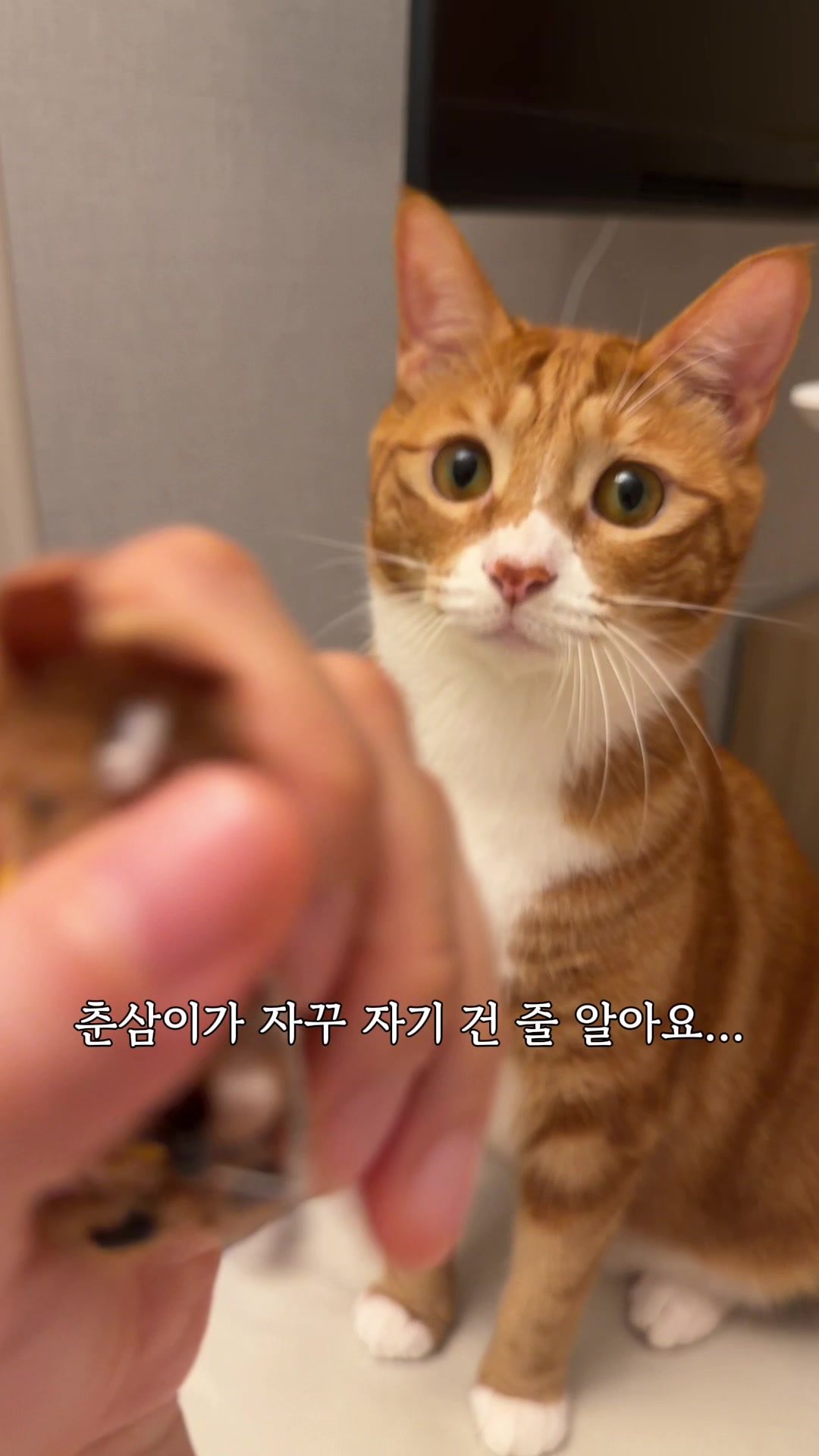 @뮤춘삼