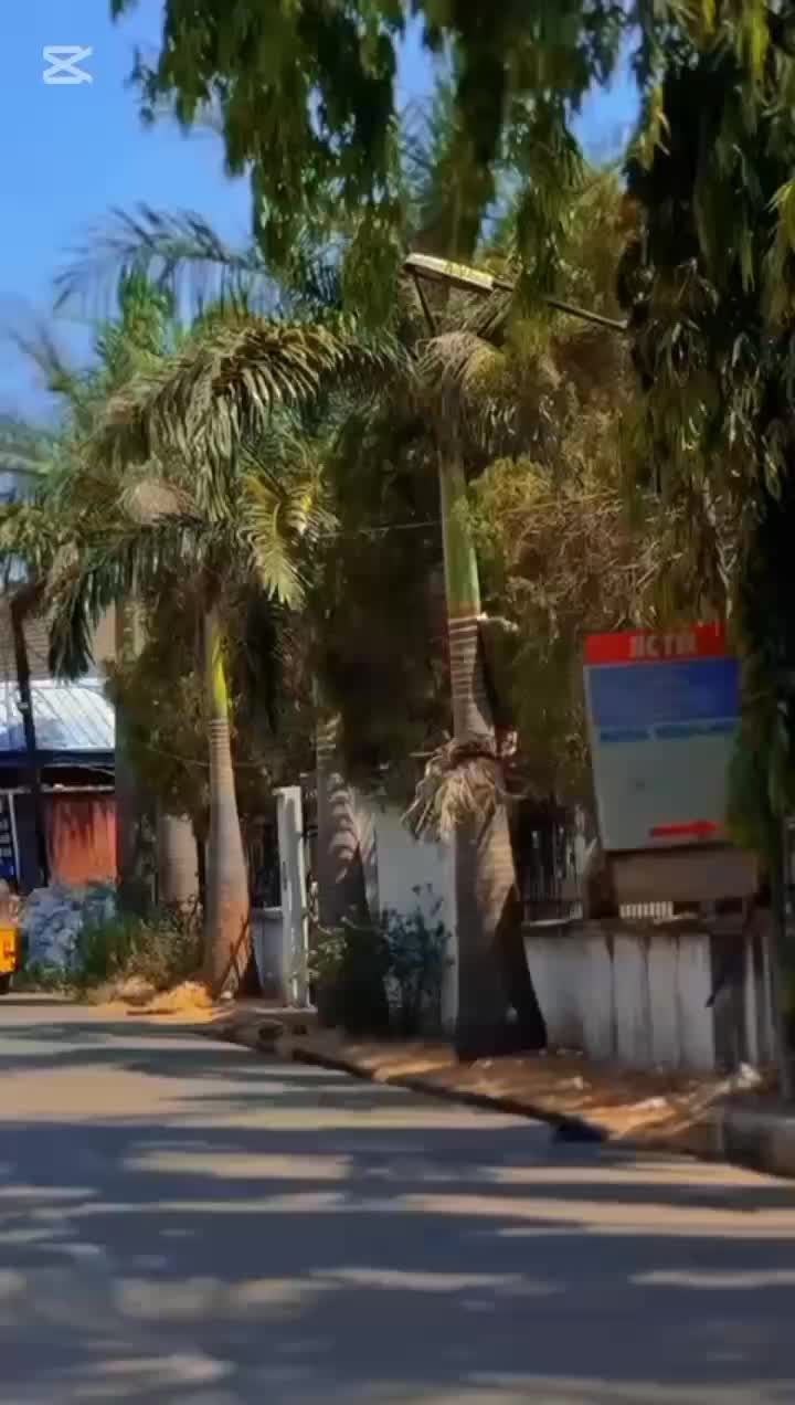 @PDA