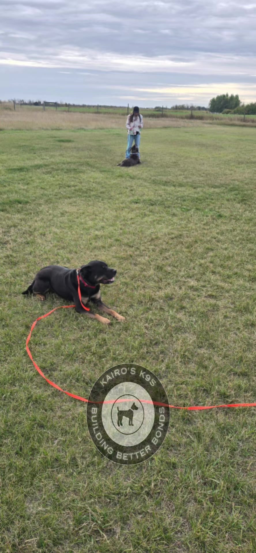 @Kairo's K9s Training 🇨🇦
